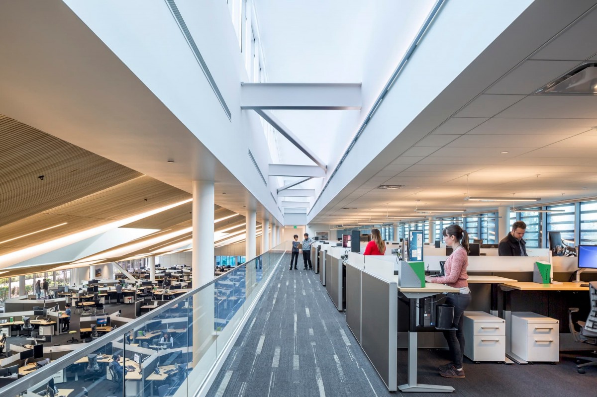 Corporate Office Expansion and Renovation