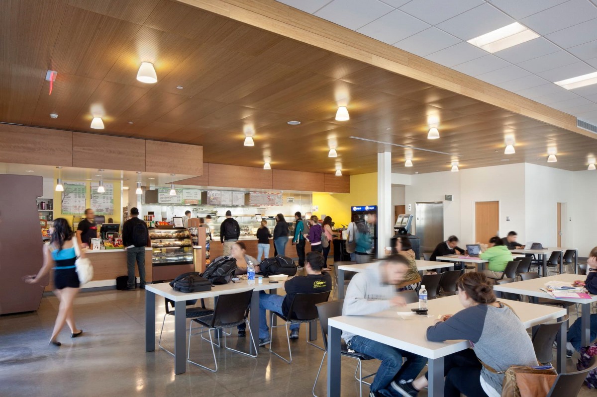 Student Services And Student Union